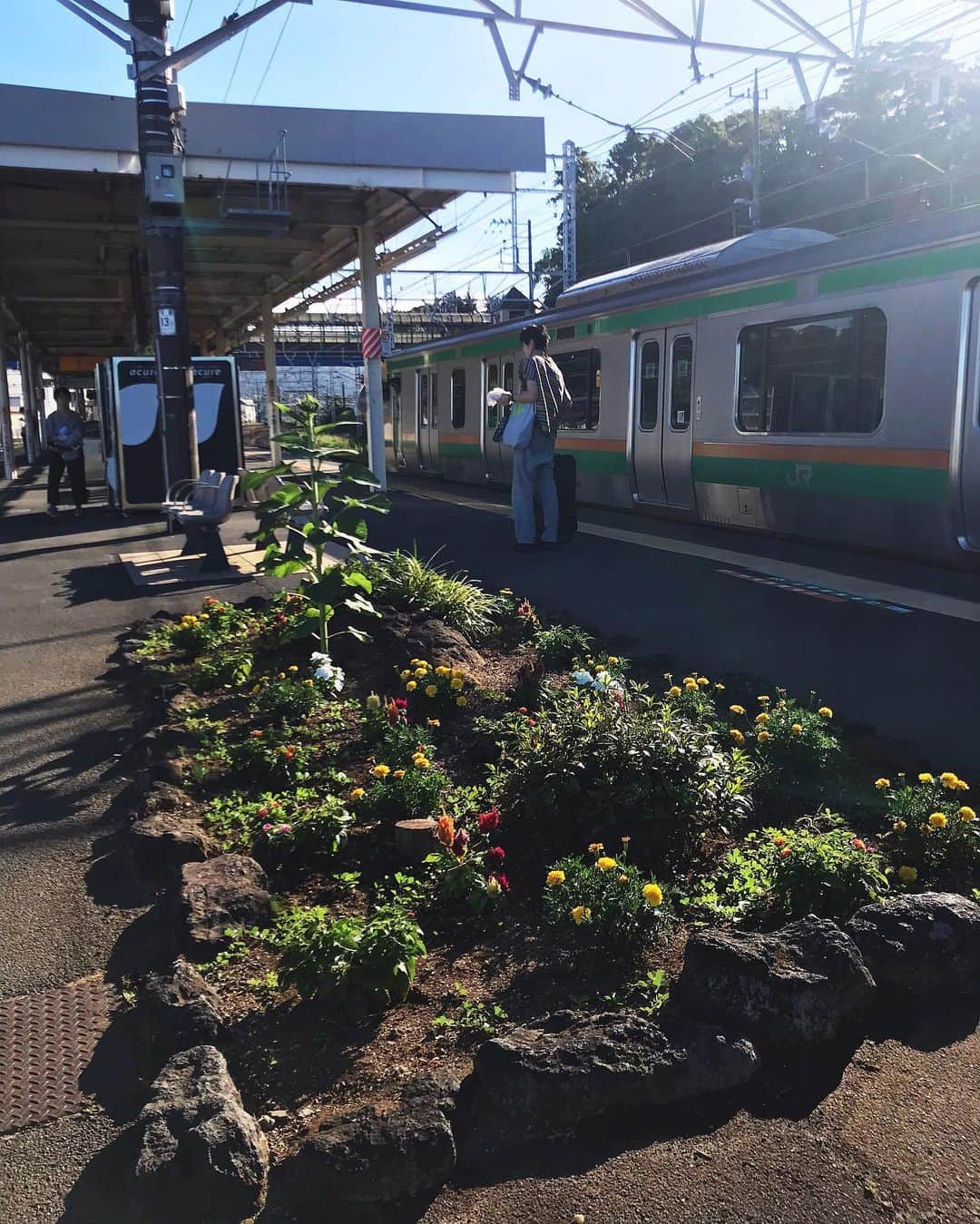 蓮沼千紘さんのインスタグラム写真 - (蓮沼千紘Instagram)「駅のホームに花壇があるってイイなぁ。 #真鶴駅 #station」8月6日 0時00分 - knitchihiro