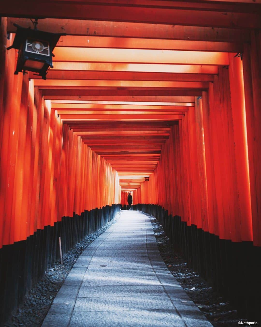 nathparisのインスタグラム：「Memories : One of my favorite trips. Vermilion Torii Gate, Bamboo Forest (kyoto 2015) #kyoto」