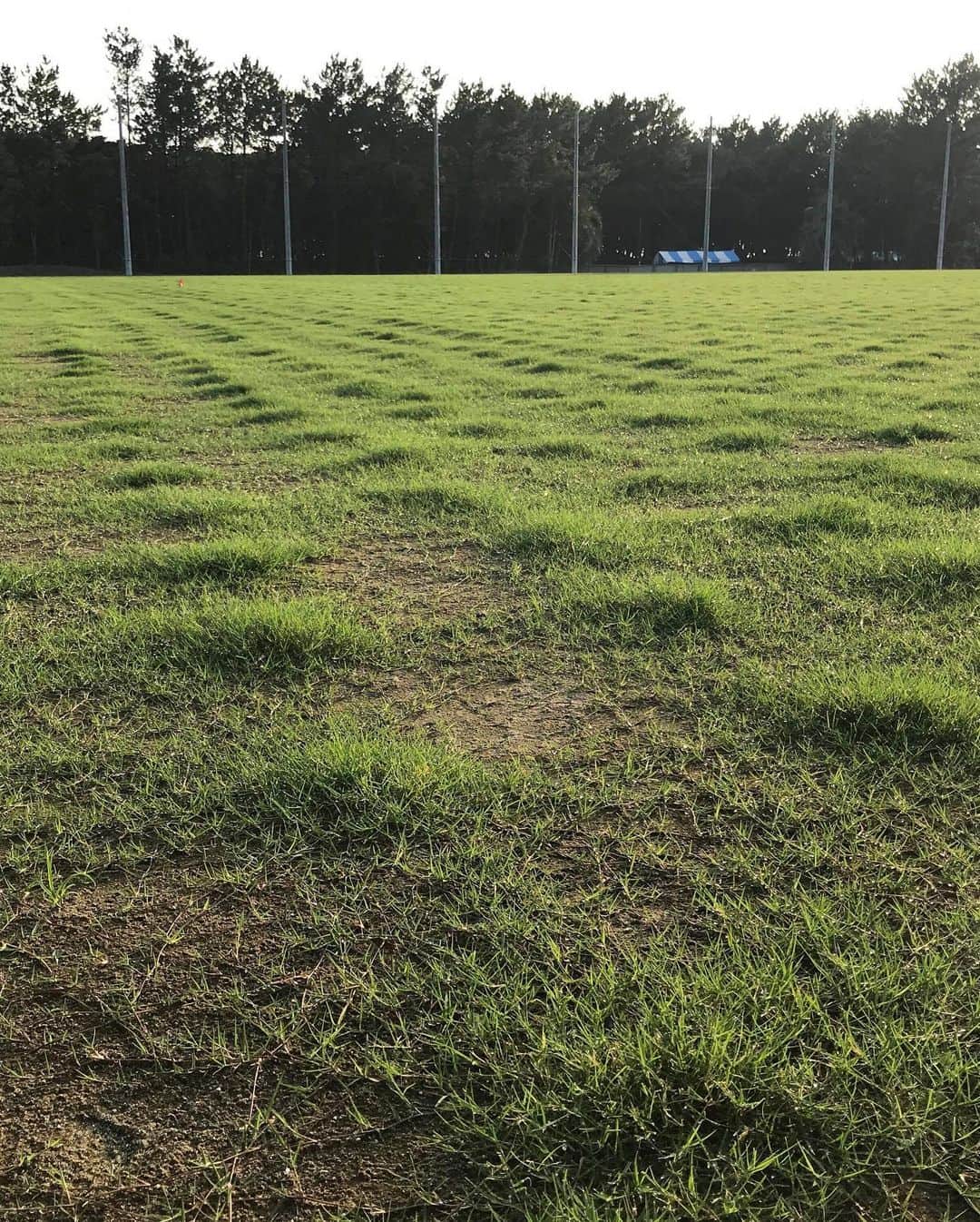 吉田麻也さんのインスタグラム写真 - (吉田麻也Instagram)「6月末にボランティアの方々と植えた芝の苗が1ヶ月でこんなにも成長しました！自分が植えた芝のピッチでプレー出来るなんて素敵やん！#JFA夢フィールド」8月6日 6時08分 - mayayoshida22