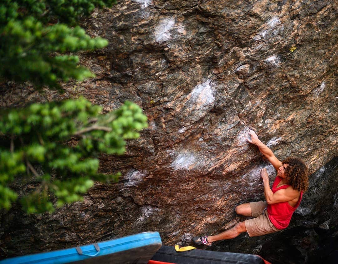 ペイジー・クラッセンのインスタグラム：「Uli (@lil_uli_vert_1) vs. the coolest move on the Centaur boulder. Final score for our crew: 🦟 mosquitos - 1378, 💪🏼sends - 2.  @lasportivana #rockymountainnationalpark #colorado #bouldering」