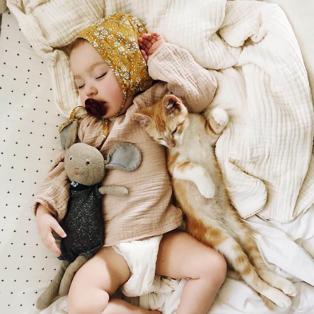 The Honest Companyさんのインスタグラム写真 - (The Honest CompanyInstagram)「I need a nap right meow 😴 rg | @masakathryn」8月6日 3時06分 - honest