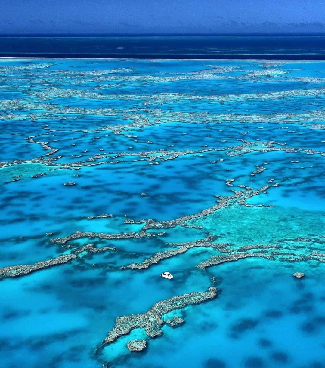 Australiaさんのインスタグラム写真 - (AustraliaInstagram)「Welcome to #Australia’s most terREEFic aquarium. 🐠 @johnny_gaskell captured the “endless network of reef locked inside one of the #GreatBarrierReef’s most impressive lagoons” at #HardyReef, an iconic scene that you can’t miss on a @whitsundaysqld trip. This part of @queensland has amazing snorkel and dive sites that you can’t find anywhere else in the world, with unique @gbrmarinepark marine creatures as your underwater guides. Book a scenic flight as well as a cruise or boat tour so you get to experience the reef from both above and below.  #seeaustralia #thisisqueensland #lovewhitsundays #viewfromabove #gbrmarinepark」8月6日 4時00分 - australia