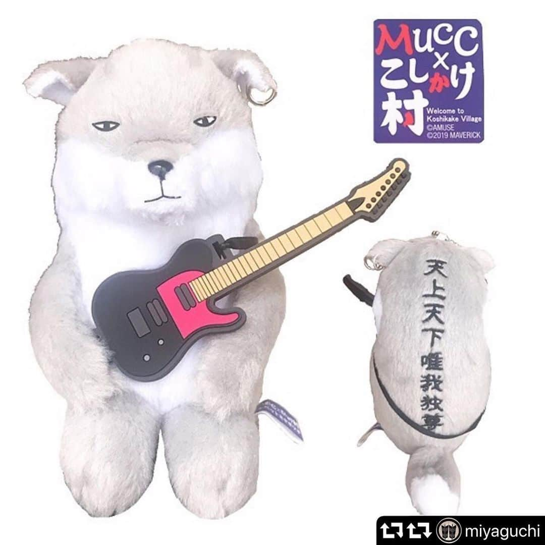 ミヤ さんのインスタグラム写真 - (ミヤ Instagram)「#repost @miyaguchi  @hapasguitars ・・・ #repost @mucc_official ・・・ Produced by ミヤ こしかけ村 チベスナ×ムック ミヤ コラボ チベットミヤギツネ【ぬいぐるみマスコット】追加販売のお知らせ！ ★皆様からのご要望にお答えして追加販売が決定いたしました。 ★発送時期 9月下旬  ご購入はコチラから BARKS×ARTIST DELI SHOPPING http://shopping.deli-a.jp/item_List.php?c1=164  #hapasguitars」8月6日 14時01分 - miyaguchi