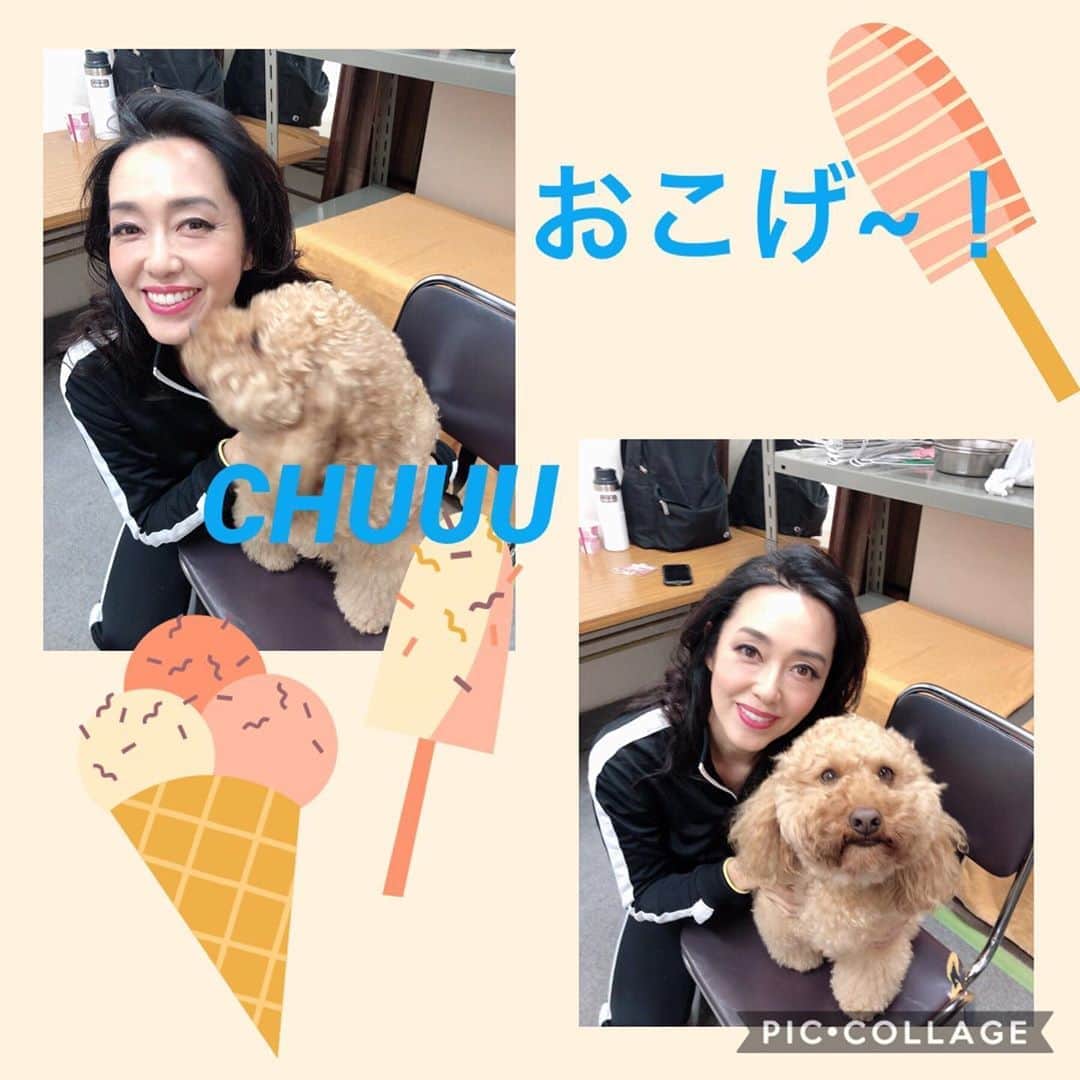 のインスタグラム：「今日でおこげも卒業！ #ミュージカルアニーのワンちゃん #丸美屋食品ミュージカルアニー2019 #ハニガン2019 #サンデイ役」