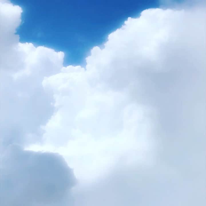 MCハマーのインスタグラム：「Is there no balm in Gilead? Is there no physician there? Why then is there no healing for the wounds of my people? 🕊🕊🕊🕊🕊🕊🕊🕊🕊🕊🕊🕊🕊🕊🕊🕊🕊🕊🕊🕊🕊🕊」