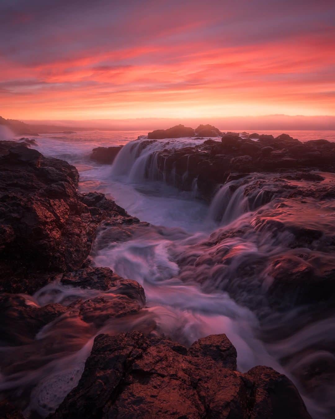 Nikon Australiaさんのインスタグラム写真 - (Nikon AustraliaInstagram)「"Some mornings are just a little bit more special than others. This morning in particular, my friend Alex Wise and I were lucky enough to witness this eruption of colour cover the sky. As we began our walk around the headland, the sky had already begun to glow quite vibrantly, a full hour before the sun was even due to rise. In the past this may have caused me to lose my head a little. But I had a goal. A solitary shot I had been wanting for a while. I’d captured it time and time again, but never quite in the conditions I was seeking.  Instead of a hurried approach that morning, it was a slow and steady walk in with purpose." - @christophersmithcreative  Camera: Nikon #D750 Lens: AF-S NIKKOR 18-35mm f/3.5-4.5G ED Settings: 1.3s | f/16 | ISO 100  #Nikon #MyNikonlife #NikonAustralia #Photography #Nikkor #NikonTop #NikonPhotography #DSLR #LandscapePhotography #OceanPhotography」8月6日 15時00分 - nikonaustralia