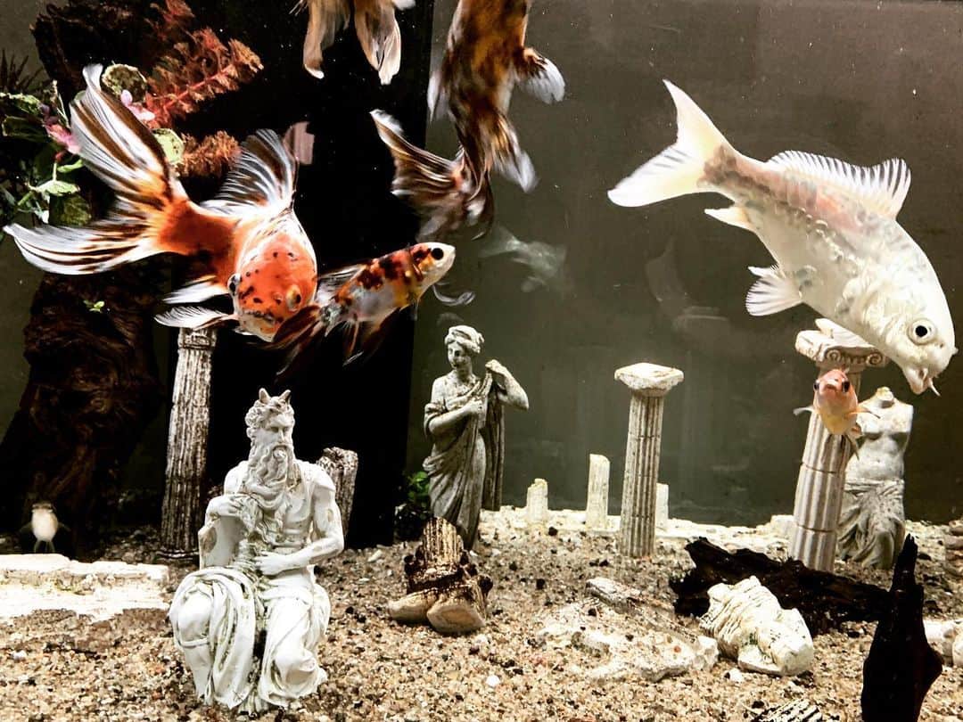 JULIEN D'YSのインスタグラム
