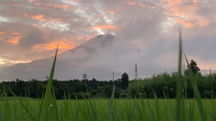 のインスタグラム：「. 🤩🤩“Shizuoka” prefecture in Japan is a place where you can see the most “phantastic” Mt. Fuji🗻 in the world.🤩 #富士山 #mtfuji #japan #shizuoka #fujinomiya  #phantastic420photography #mostphantasticmtfuji #selamatpagi  #goodmorning  #おはようございます 😇😇😇😇😇😇😇🗻😇😇 あぁ〜やっちまいました🤣起きたらピークという最悪の朝です🤣1時すぎに帰ってきてのこの時間は流石に起きれませんでした🤣ふぅ〜…」