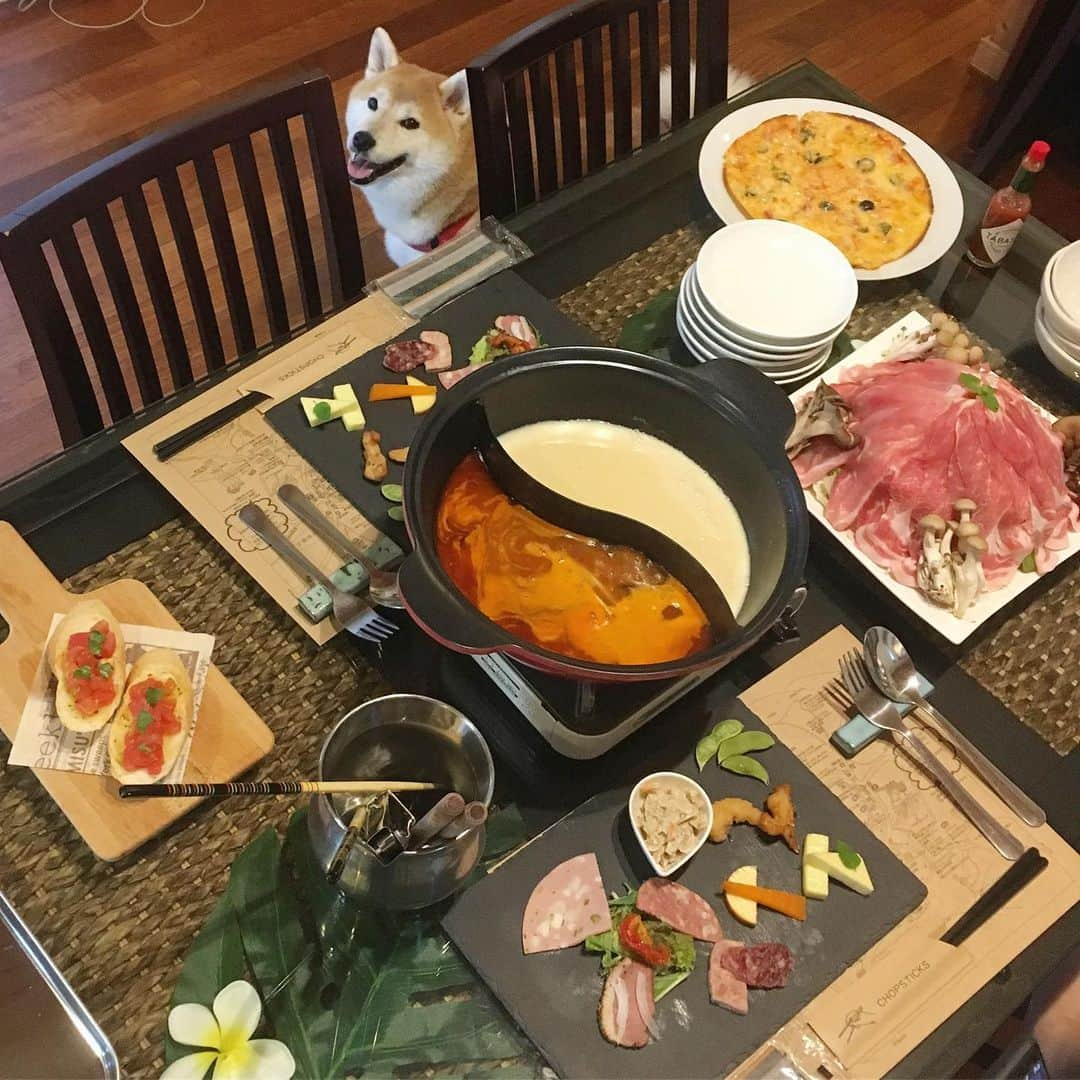 てんパパのインスタグラム