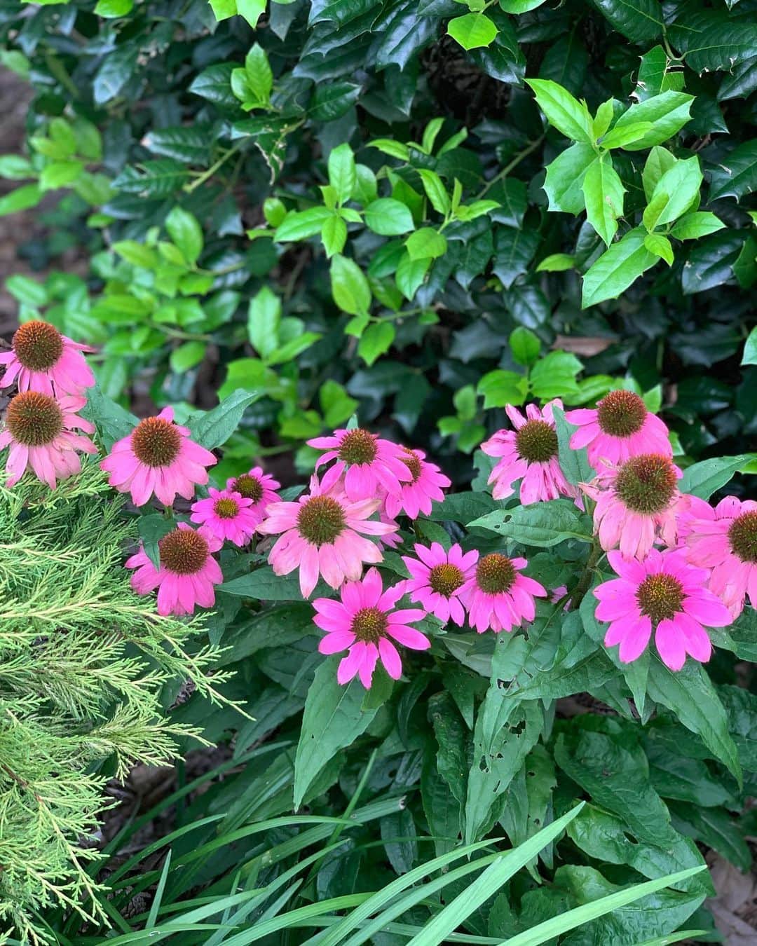 のインスタグラム：「👋🏻」