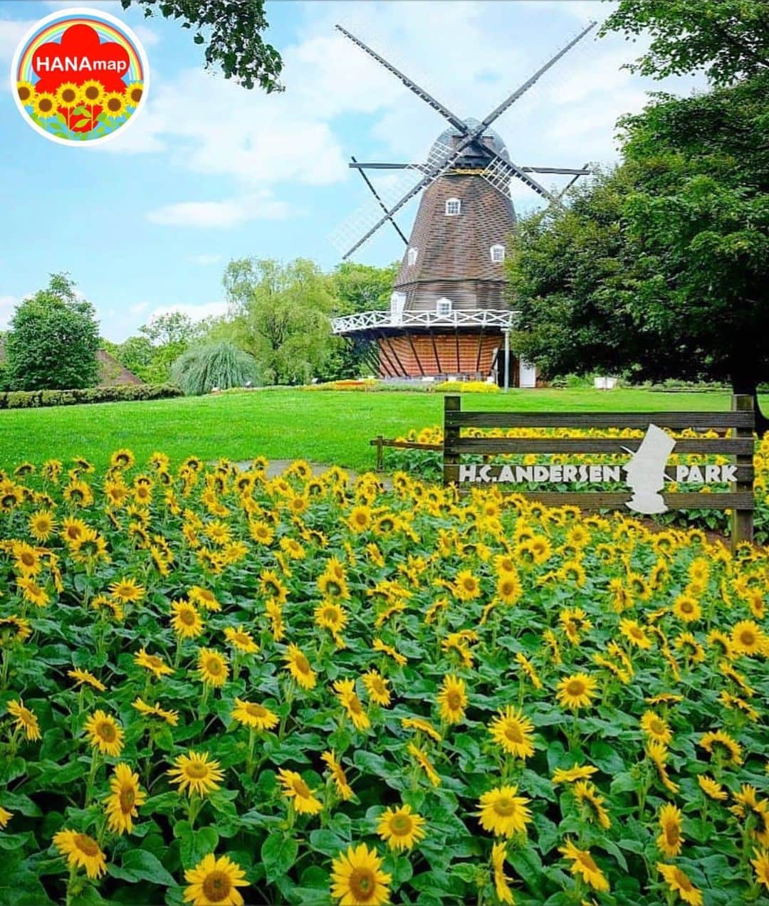 はなまっぷ❁日本の花風景のグルメインスタ