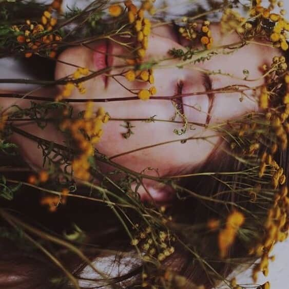 ワイルドフォックスクチュールさんのインスタグラム写真 - (ワイルドフォックスクチュールInstagram)「Favorite pastimes include covering oneself in the fragrance of florals. #wildfox #inspo #flower #wildflower #flowerchild」8月6日 9時04分 - wildfoxcouture