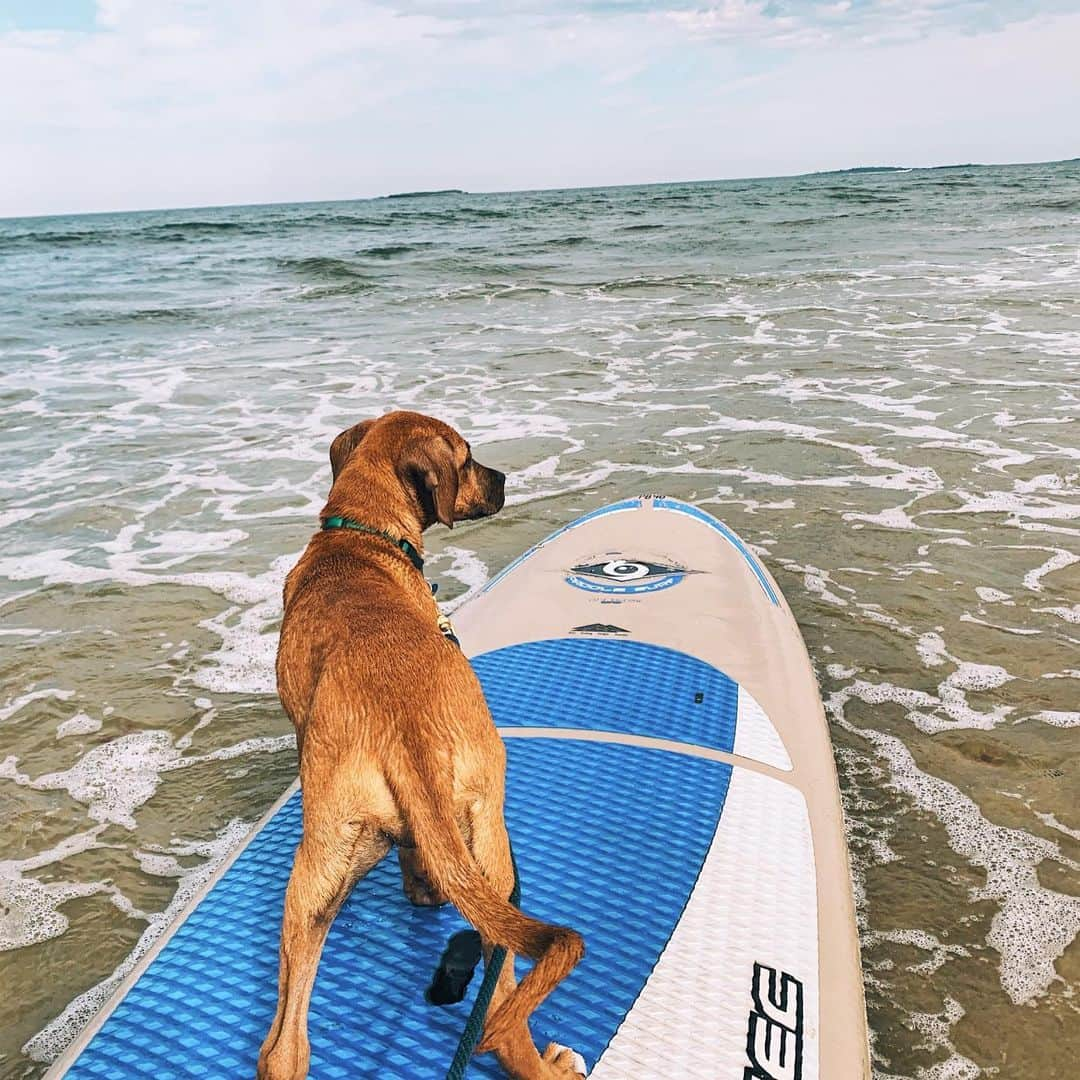 L.L.Beanさんのインスタグラム写真 - (L.L.BeanInstagram)「Inside L.L.Bean, we're all outsiders. We're making it official with a new company-wide goal that encourages all employees to enjoy the outdoors on a regular basis.  This is not about the bottom line. It's about what it means to work at L.L.Bean.  #BeanOutsider」8月6日 9時18分 - llbean