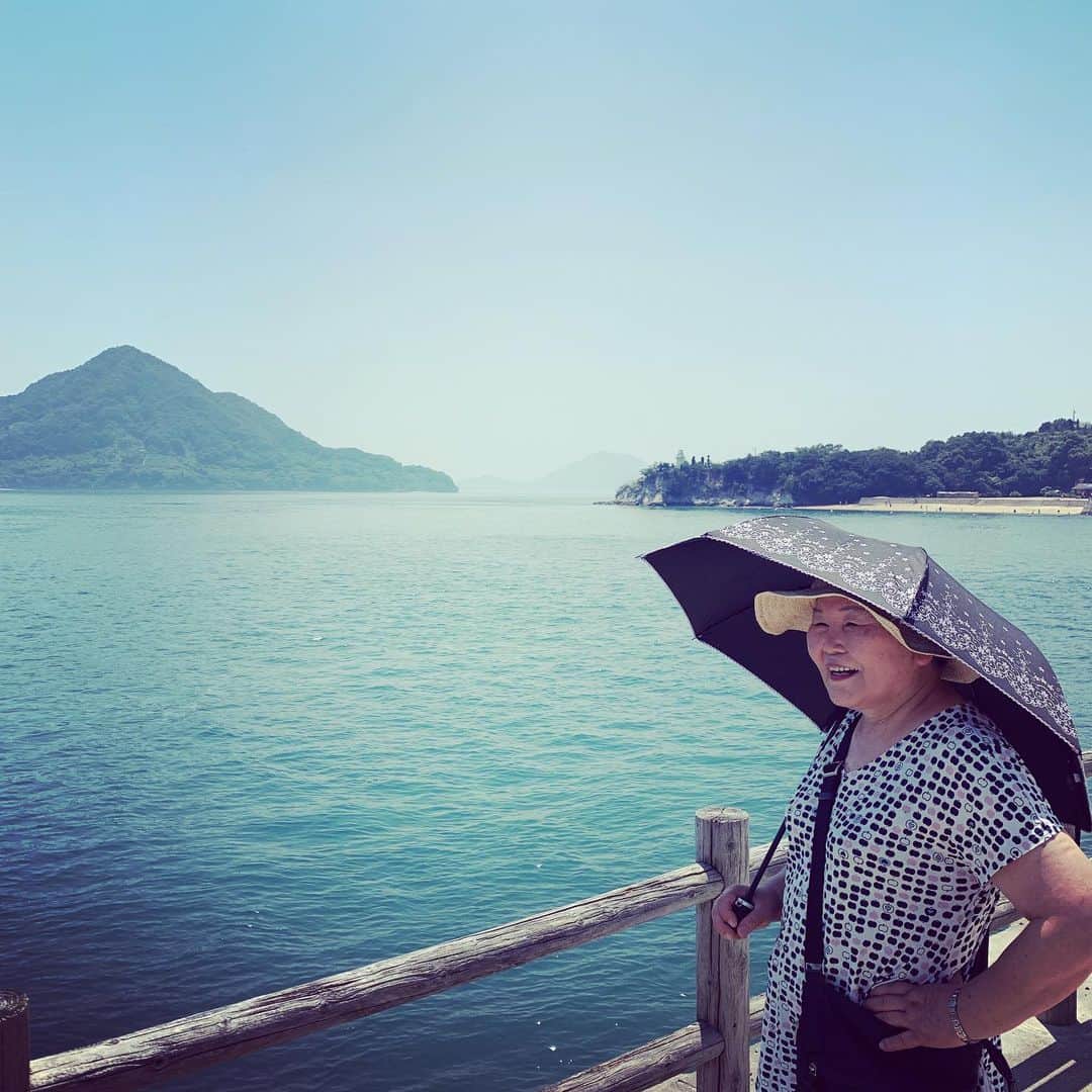 柏崎桃子さんのインスタグラム写真 - (柏崎桃子Instagram)「広島2日目はうさぎの島、大久野島へ行ってきました。 うさぎさんが暑さでへろーんとしてましたが餌を持っていくと元気よくぴょんぴょん出てきます。  併せて行きたかったのはこの毒ガス資料館。 世界中の負の遺産を見に行くのが今の目標だったりします。  #広島 #大久野島 #うさぎ #大久野島のうさぎさん  #毒ガス  #資料館」8月6日 9時19分 - momoko_kashiwazaki