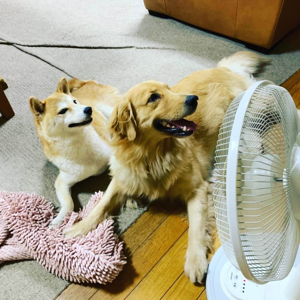 篠原信一のインスタグラム