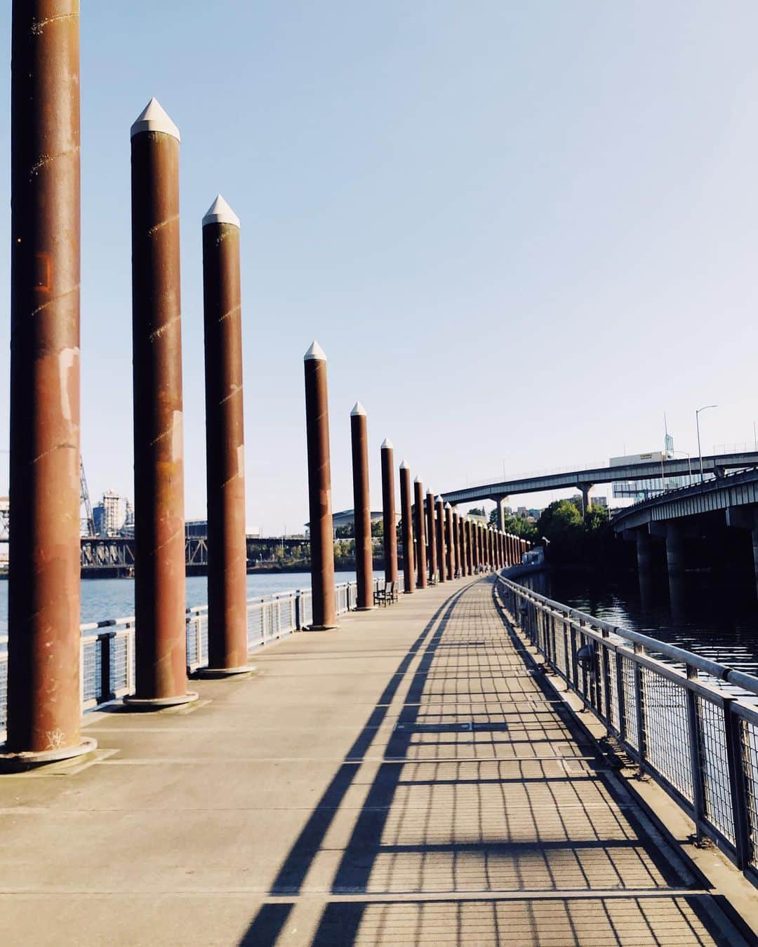 Portlandさんのインスタグラム写真 - (PortlandInstagram)「Who agrees with me that one of the most beautiful parts about living downtown Portland is the waterfront loop? Always perfect for a run or bike ride.  #portland #pdx #portlandgear #portlandnw #downtown #pnw #city #explore」8月6日 9時37分 - portland