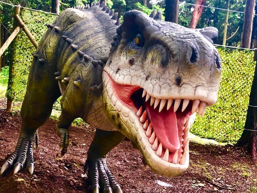 三島スカイウォーク／公式さんのインスタグラム写真 - (三島スカイウォーク／公式Instagram)「恐竜アドベンチャー🦖💥 . 今年の夏も三島スカイウォークに恐竜たちが潜んでいます‼️ . Kicoroの森の奥深くに、やさしい恐竜が8匹住み着いた🤭 . 鳴き声をたよりに迷路の中から恐竜を探しだし、スタンプを集めよう💪❤️ . スタンプを全部集めると缶バッチがもらえますよ😆（全6種） . また、ＡＲシューティングアトラクションが新たに登場🏃‍♂️✨ . スコープをのぞき、襲いかかる様々な恐竜たちを倒しながら探検する新感覚のアトラクションです👍💕 . 恐竜アドベンチャー受付の際に恐竜迷路かＡＲシューティングゲームのどちらかをお選びください😉✨ . 平和に暮らす恐竜の下に凶暴な恐竜たちが現れ、大切なたまごが奪われた🥚 . ARスコープ付きの銃を片手に森を歩き画面に出てくる凶暴な恐竜を倒してたまごを救い出そう😠👊❤️ . 場所：Kicoroの森（吊橋を渡った先の北エリア） 料金：迷路500円　ARシューティング800円 . #三島スカイウォーク #スカイウォーク #静岡 #箱根 #伊豆 #三島 #観光 #吊り橋 #日本一 #富士山  #恐竜 #恐竜アドベンチャー #AR #ARシューティング #空をあるこう森とあそぼう #夏 #夏休み #親子 #mishimaskywalk #skywalk #japan #MountFuji #shizuoka #travel #trip #fun #instagood #nature #beautiful #followme」8月6日 9時45分 - mishima_skywalk