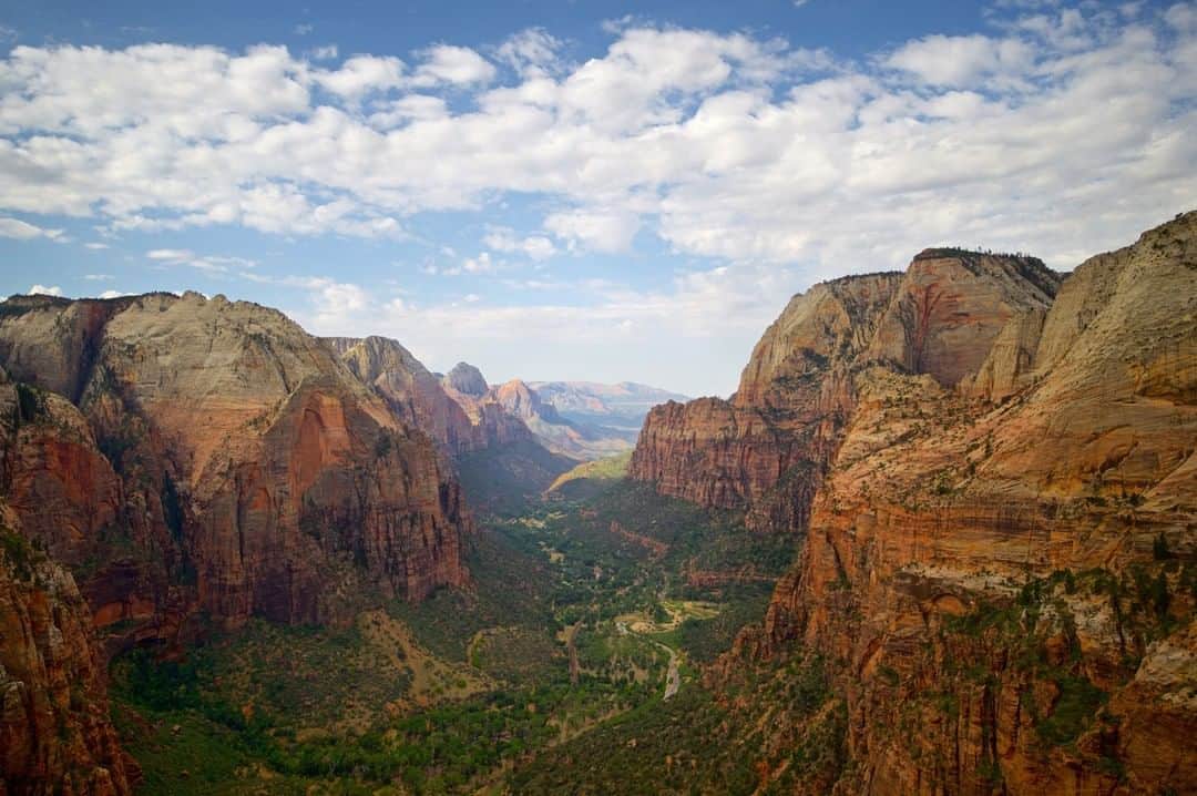 National Geographic Travelさんのインスタグラム写真 - (National Geographic TravelInstagram)「Photo by @mborowick | To see this incredible view you have to climb Angels Landing in Zion National park, Utah. It has to be one of the scariest climbs I’ve done in the last few years. A 1,500 foot rock formation with a chain rope locked into it marking the trail up the ridge. I would definitely recommend it to anyone willing to try, as it is only moderately difficult, with a most beautiful prize at the top. #zionnationalpark #nature #mountains #angelslanding #trekking」8月6日 10時02分 - natgeotravel