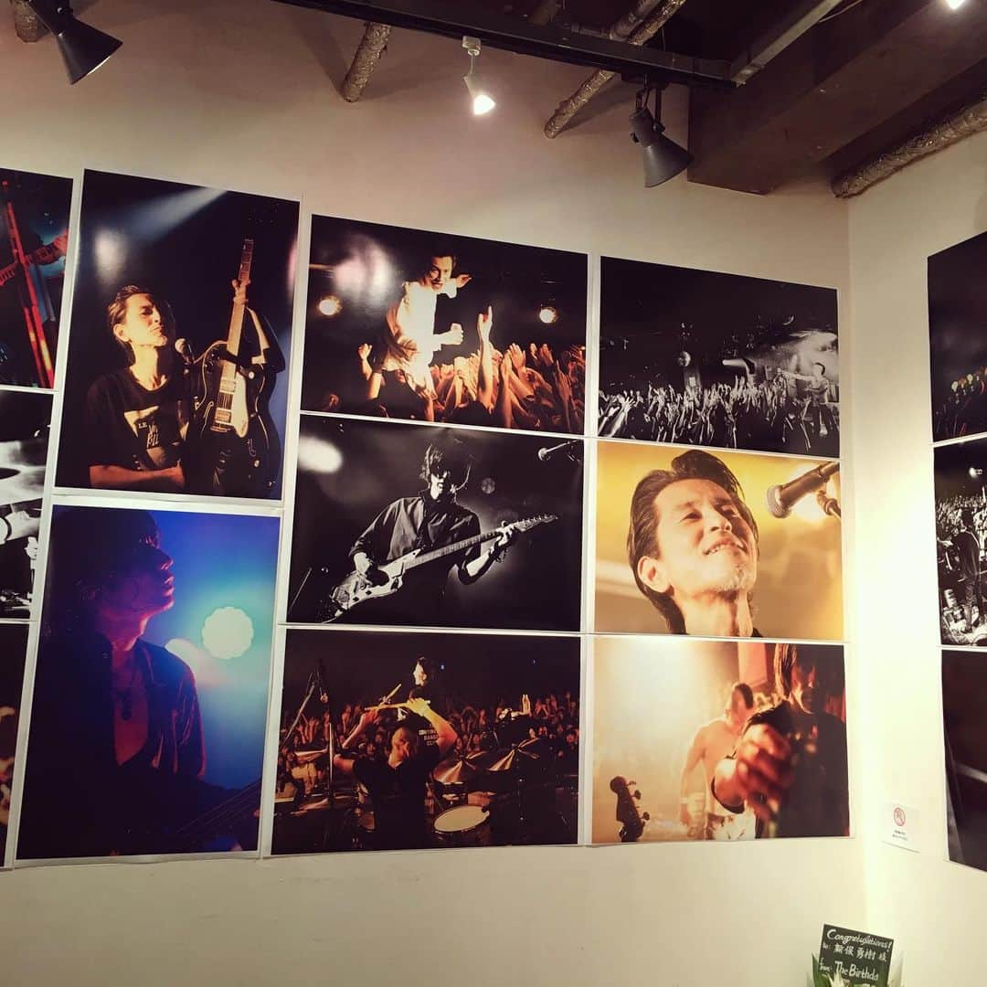 中野ミホさんのインスタグラム写真 - (中野ミホInstagram)「昨夜は 新保さんの写真展へおじゃましてきました。 次の瞬間には過去になってしまう、でも確かにそこにあった空気や音や息づかいが 新保さんにしかできない閉じ込めかたで残されているような 静かにびりびりきました。大きい写真やっぱりかっこいい！！ そして、お誕生日おめでとうございます🎁🎉 POPO、ハッピーな空間だったなぁ」8月6日 10時02分 - miho_doronco12