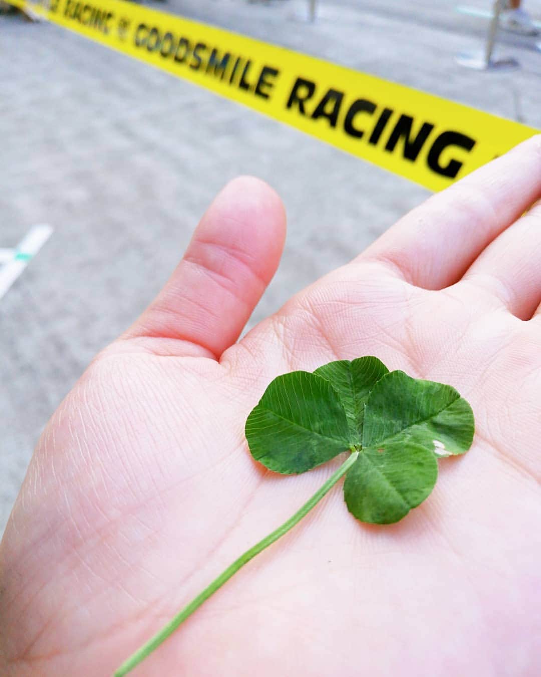 河瀬杏美のインスタグラム：「富士でのあれこれ。 * ▫NOBさんがもらった小さな幸せ🍀 ▫現場に残された豪華すぎる私のお弁当 ▫デジモノ様より優しい手書きの一言を添えて(いつも本当にありがとうございます🙇‍♀️) ▫原付デビュー。初体験はモトコンポ🛵 ▫初めて近くでみさせてもらった聖域 ▫ねじねじちみちみ ▫もうすぐ表示不可なグリッド。(49.9 ℃が限界値) * * #goodsmileracing #fightgsr #supergt #round5 #富士スピードウェイ #灼熱の500マイル #暑い中皆さま本当にお疲れ様でした #今週末は公式テスト菅生 #気張っていきましょ」