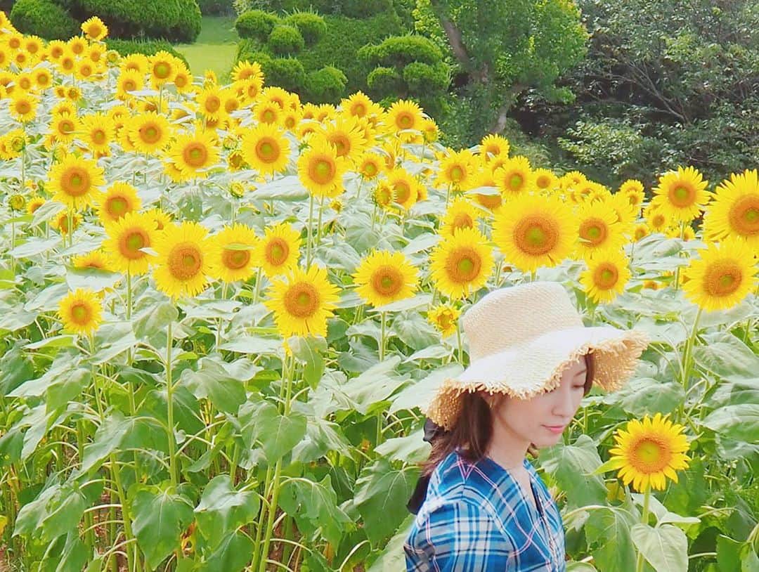 瀬口かなさんのインスタグラム写真 - (瀬口かなInstagram)「台風大丈夫でしょうか。 昨日台風来る前にひまわり畑に行ってきました🌻👒 ． 夏らしいことしてる😹✨ 無料で摘み取りもできてまだ咲いてないひまわりもあったしこれから行っても良さそう😍マリーゴールドも沢山咲いてて綺麗でした🌼 ． ． ． #ひまわり #ひまわり畑 #能古島 #能古島アイランドパーク #sunflower #福岡 #fukuoka #nokonoshima #マリーゴールド #麦わら帽子 #チェックワンピース #ootd #fasion #ファッション #zara #ninamew」8月6日 12時12分 - seguchikana
