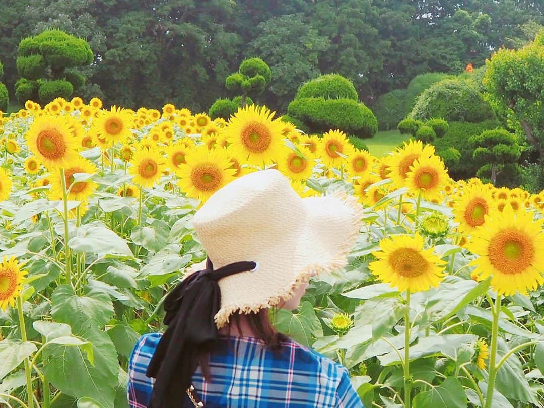 瀬口かなさんのインスタグラム写真 - (瀬口かなInstagram)「台風大丈夫でしょうか。 昨日台風来る前にひまわり畑に行ってきました🌻👒 ． 夏らしいことしてる😹✨ 無料で摘み取りもできてまだ咲いてないひまわりもあったしこれから行っても良さそう😍マリーゴールドも沢山咲いてて綺麗でした🌼 ． ． ． #ひまわり #ひまわり畑 #能古島 #能古島アイランドパーク #sunflower #福岡 #fukuoka #nokonoshima #マリーゴールド #麦わら帽子 #チェックワンピース #ootd #fasion #ファッション #zara #ninamew」8月6日 12時12分 - seguchikana