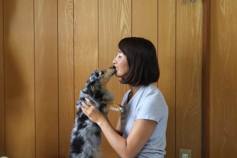 金子藍さんのインスタグラム写真 - (金子藍Instagram)「Happy Birthday❤️ピノコ . 大好きな大好きなピノが15歳に❤️ . 宮崎で出会ったピノちゃん❤️❤️ 食いしん坊なピノちゃん❤️❤️ ミニョンちゃんを産んでくれたピノちゃん❤️❤️ .  長生きしてね❤️ . #ミニチュアダックス #シルバーダップル #birthday #親子犬」8月6日 12時27分 - aikaneko_surf