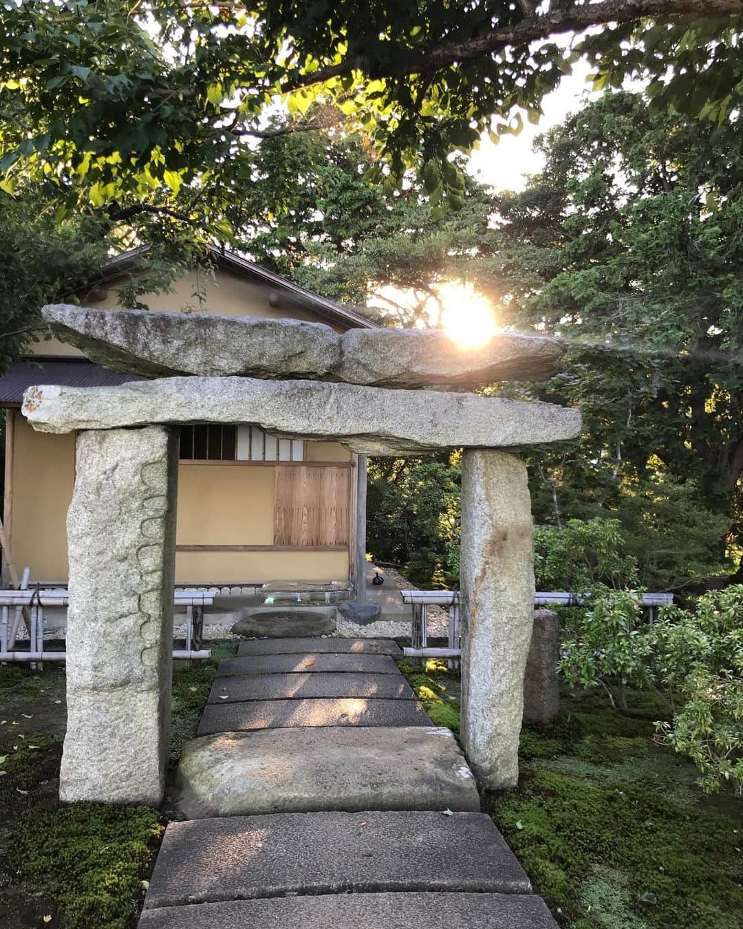 蓮沼千紘さんのインスタグラム写真 - (蓮沼千紘Instagram)「いつか遺跡になる場所。  遺跡ってのはやっぱり、そこで何が行われていたのか催されていたのかが重要だと思う。 茶室やガラス廊下、石の切り出しなど魅力的な建築がたくさんな中でガラス舞台や石舞台などそこで何が催されるのかと期待させる場所も多くて次は何か催されているのを見たい。  嶋津くんが踊っているところは沢山見た。🕺 BGMは蝉。 蝉という漢字と禅という漢字は似てる。  山の上からの景色は 「随分と高いところにいるなぁ」と ビルの上から下を覗くのとは違った竦みがあった。自然にはビビる。良かった。  #江之浦測候所」8月6日 12時29分 - knitchihiro