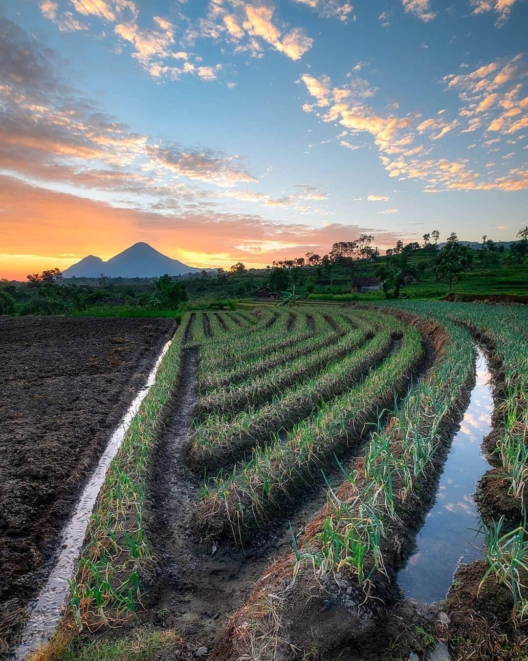 FUJIFILM INDONESIAさんのインスタグラム写真 - (FUJIFILM INDONESIAInstagram)「Fotografer @dantedananjoyo mengambil foto lanskap dengan lensa andalan para landscaper, Fujinon XF10-24mmF4 R OIS. Bagi para penggiat fotografi landscape, lensa ini memang salah satu line up lensa favorit untuk memotret objek landscape. Sudah coba lensanya?  Captured using X-E2  #XE2_id #XE2 #XF1024 #landscape #beautifulndonesia」8月6日 13時00分 - fujifilm_id