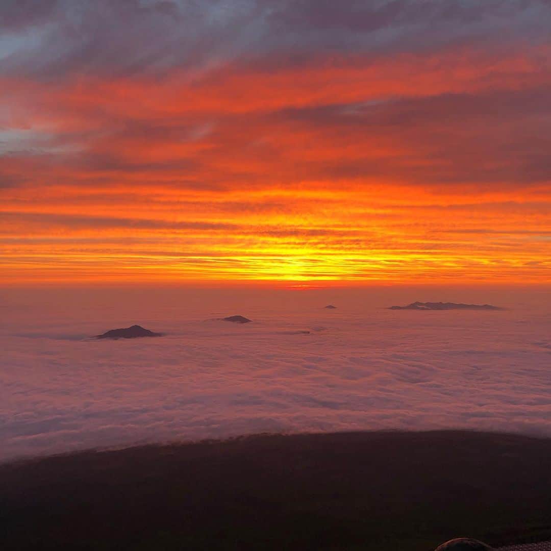 草刈民代さんのインスタグラム写真 - (草刈民代Instagram)「本日 20時から、 「#教えてもらう前と後 」 #毎日放送 （TBS系列） 出演致します！ 今回のテーマは 「#富士山 」 富士山に登ったのはこのためでした。 綺麗な#ご来光 も見られますよ！ ぜひご覧くださいね。 この写真は、日の出の前。だんだんとオレンジ色の光が反射してきて、この後すぐに太陽が顔を出しました。 #草刈民代」8月6日 13時28分 - tamiyo_kusakari_official