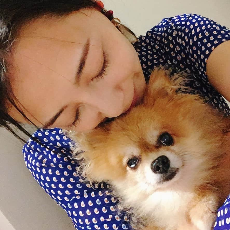 大湯みほさんのインスタグラム写真 - (大湯みほInstagram)「……… 親友のパクチーちゃん🐶ここ数日、わんにゃん触れ合いDAY💕 本日は、楽しみにしてる撮影✨でしたぁ＾＾また詳細は後ほど、アップしますね〜✨ ・ #ペット #ペットのいる生活 #わんころ #🐶 #わんにゃん #どちらも好き」9月4日 18時18分 - nukazukemiho0320