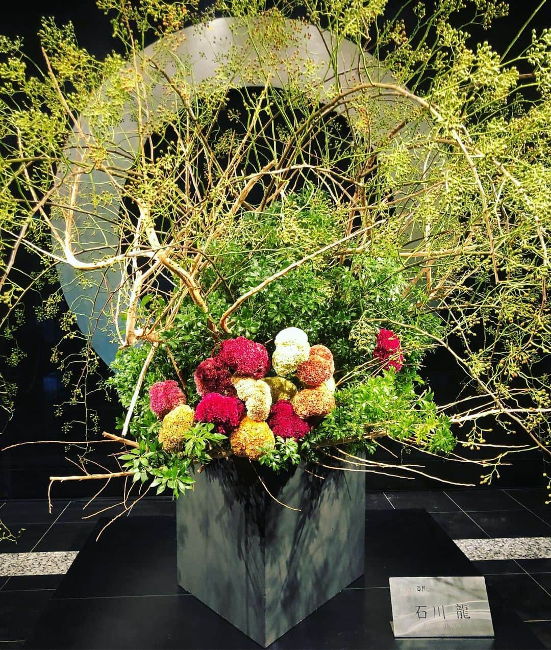 ホテル ニューオータニさんのインスタグラム写真 - (ホテル ニューオータニInstagram)「Colorful Cockscomb flowers are blooming at the lobby of Hotel New Otani Tokyo.﻿ ﻿ 色鮮やかな鶏頭(ケイトウ)を使用した生け花が、ロビーを華やかに飾ります。﻿ ﻿ #ロビー装飾 #花のある暮らし #生け花 #草月流 #ケイトウの花 #鶏頭 #けいとう #秋の花 #赤坂 #ホテルニューオータニ  #lobbydecor #lobbydesign #lobbyflowers #cockscomb #cockscombflower #thepreferredlife #akasaka #ForbesTravelGuide @hotelnewotanitokyo」9月4日 16時54分 - hotelnewotanitokyo