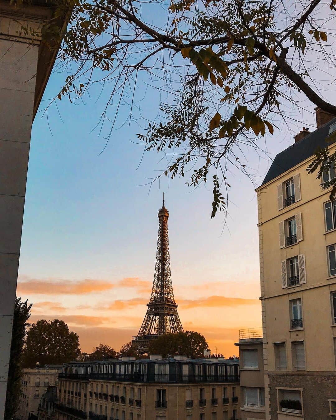 NICOLAS SIMOESのインスタグラム：「Morning shades of fall ♥️」