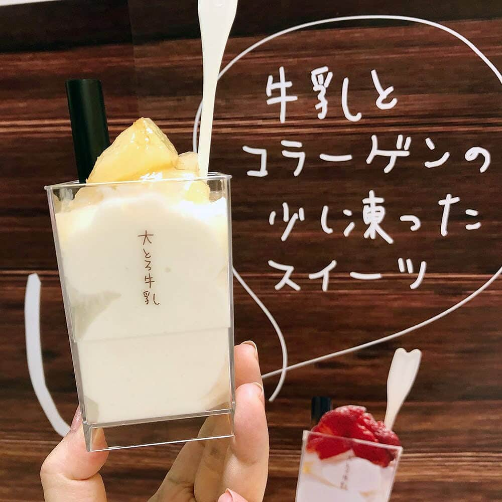 daimarusapporoさんのインスタグラム写真 - (daimarusapporoInstagram)「【人気の大とろ牛乳が再び登場🥛】 . 本日9/4(水)より地1階 菓子イベントスペースに福島・郡山の〈モアフェリシア〉が出店中です。 . 毎回ご好評いただいている「大とろ牛乳(写真1・2枚目)」を販売しています。 . 大とろ牛乳は濃厚な牛乳の風味とシャリッと少し凍った牛乳とコラーゲンのスイーツです。 . 今回のイチオシトッピングは「もも(写真1・2枚目)🍑」 . ももトッピングに使われているのが福島市にある〈ももがある〉の「ももふる」です。 ももふるは、どんなに美味しくても出荷基準に外れてしまったもも(傷がついてしまったなど)の新鮮な美味しさを生かすために最低限の加工のみで製品化されました。 . ももの「もったいない」を減らしたいという思いから生まれた「ももふる」。 . さっそく食レポです😊 . もものぷるっとした食感とジューシーな甘さ、そして濃厚ですっきりとした 甘さの大とろ牛乳のとろみがよく合います。 ももミルクの味わいがたまりません😍 ももは福島の代表品種「あかつき」を使っていますよ🍑 . 食べる時は少しストローで飲んでから 大とろ牛乳とトッピングを一緒にお召しあがりください✨ . 後味さっぱりの 今回も最後までストローですすりたくなる美味しさでした😋 . トッピングはほかにも、色々あるので(写真3枚目) 食べ比べもおすすめです✨ . 9/10(火)まで開催しておりますのでぜひ、ご賞味ください💕 . ◉札幌大とろ大賞開催中(写真6枚目) インスタグラムで大とろ牛乳の写真を投稿して商品をもらっちゃいましょう✨ 前回の優秀作品もご覧いただけいます(写真5枚目) . 応募方法 大とろ牛乳の写真を撮影し、「#札幌大とろ大賞」とつけて投稿してください グランプリ商品は何と「1万円(1名様)」 特別賞は「季節の味覚セット(1名様)」 モアフェリシア賞「商品券2,000円分(3名様)」 . 応募期間は9/10(火)までです。 大とろ牛乳を食べて豪華賞品をもらっちゃいましょう💕 ぜひ、投稿ください✨ . ※詳しくは売場係員におたずねください。 . #モアフェリシア #大とろ牛乳 #福島 #郡山 #スイーツ #牛乳 #もも #ももふる #ももがある #大丸札幌」9月4日 17時26分 - daimarusapporo