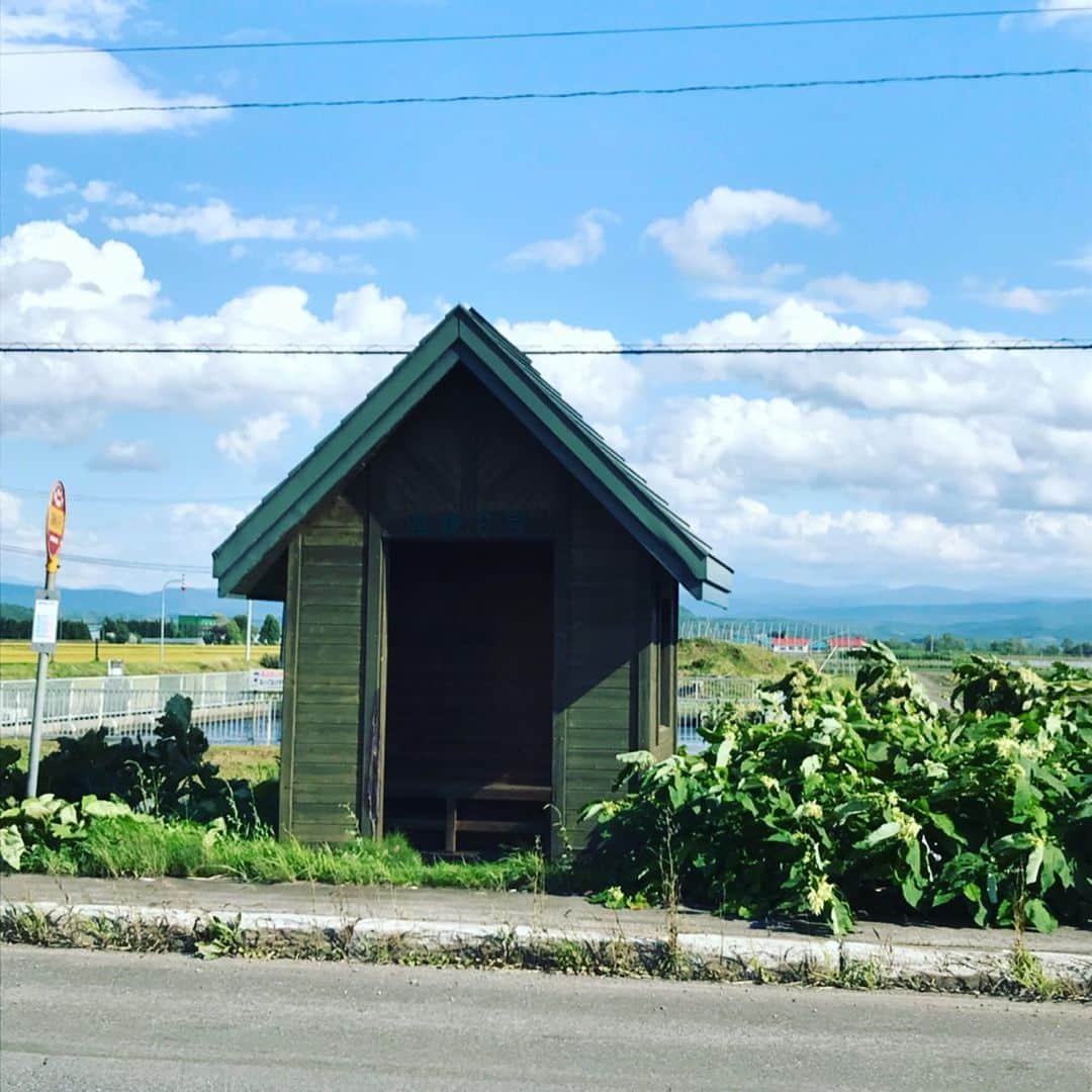 haruさんのインスタグラム写真 - (haruInstagram)「2019 09 04 水曜日  おはようございます * 義父さんの退院後が気になり 先週末から 北海道へ✈️ ドキドキしながら自宅に 着くと笑顔で玄関で 待っててくれた 義父さんと義母さん 心配は多々あるけど 思ったより元気そうで ホッとし夫も安心した様子 😊 * 大自然の中の羊可愛かったなぁ ＊ラーメンさんぱち🍜 カレーと味噌ラーメン 濃厚なスープに縮れ麺が堪らない美味しさ😙 ※毎度必ず食べたい  串のトリトンの焼き鳥 何本でも食べれちゃう♪ ※和寒かぼちゃ王国の  かぼちゃチョコソフトクリーム * * 朝晩は寒いくらいで昼間も 爽やかで心地よかったぁ * 北海道前半の記録 * * 今月もよろしくお願いします * * #北海道#帰省#大自然#ラーメンさんぱち士別店 #カレーラーメン#羊#焼き鳥#和寒#わっさむかぼちゃの王国 #串のトリトン #士別#北の大地#トリトン #家族#大事な時間#大事な人 #故郷#故郷の味#牧場 #hokkido #softcream #northearth #ranch #yakitori #yummy#japan#日々是好日」9月4日 9時19分 - shoco132102