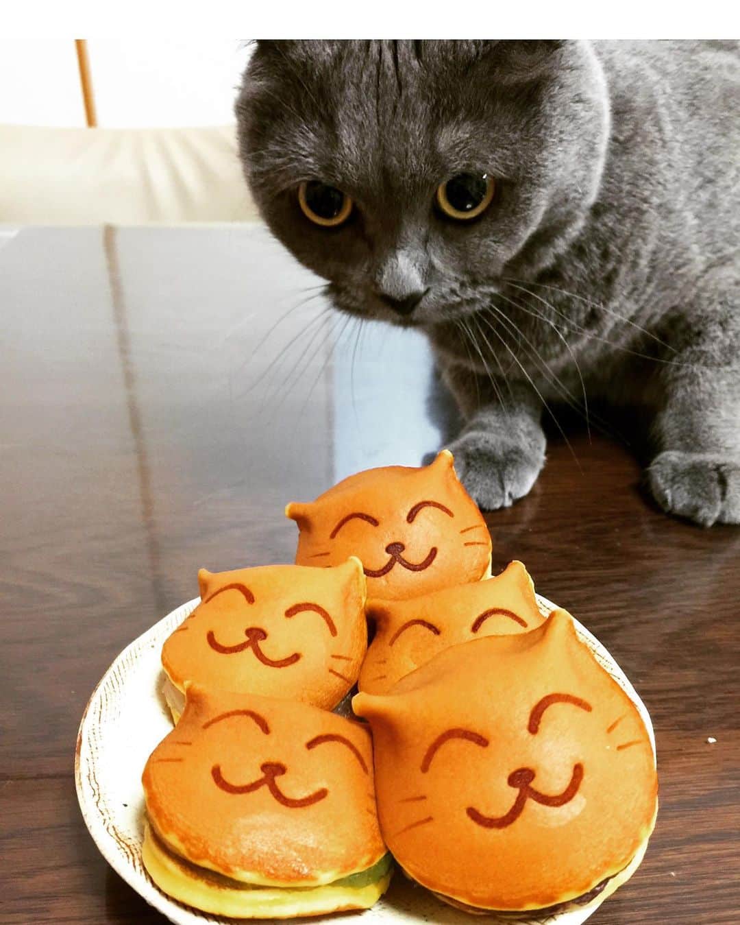 チキン南蛮カレーのルウ王子のグルメインスタ