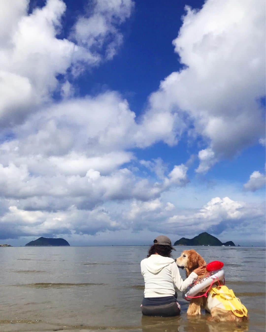 のインスタグラム：「一昨日の写真。 今年は3回も海に行けました😊👏🏻 よかったね。 ． ． ．  約束だよ ． ．  #dogsofinstagram #ゴールデンレトリバー #ilovegolden_retrievers #retrieversgram #insta_animal #dog_ofinstagram #gloriousgoldens #retriever #goldenretriever #犬バカ部 #igdog #gryuuko #repost_ezyjp #retrieveroftheday #weeklyfluff #thedailygolden  #excellent_dogs #pecoいぬ部 #てんかん持ちワンコ #前庭疾患回復期 #高齢犬14歳 #高齢犬 #seniordogs #seniordogsofinstagram」