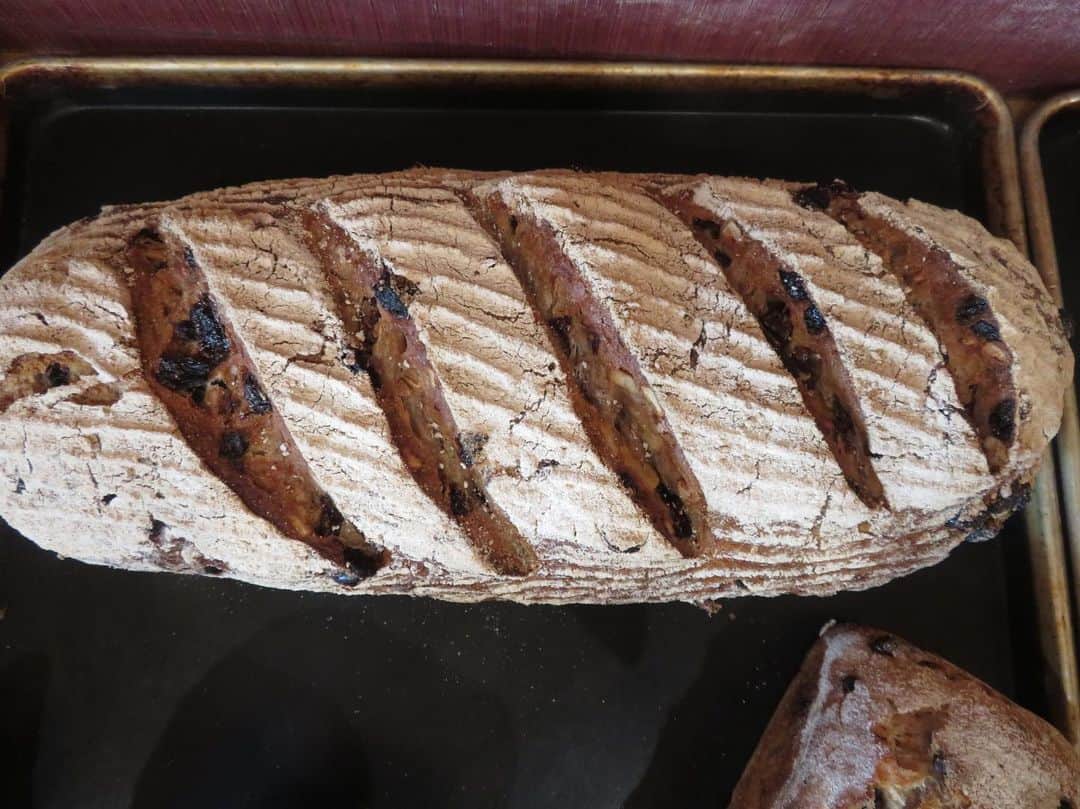 魔女菅原のグルメインスタ