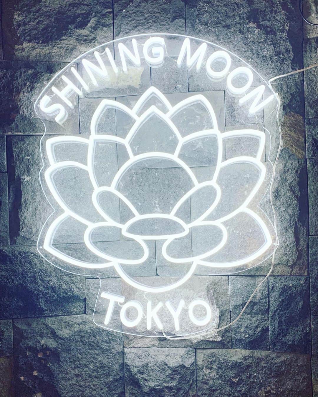 小越しほみさんのインスタグラム写真 - (小越しほみInstagram)「なべじゅん、れいちぇる、あまのっちと4人でSHINING MOON TOKYOに行ってきたよ🌙 ・ ショーのクオリティ高くてキャストさんも可愛くてすばらしかった🥺✨ ・ みんなでそれぞれセーラームーンを意識したかっこしてったよ💘 私はちびうさのおされTシャツ見つけてそれに合わせてコーデしました🥰 ・ #shiningmoontokyo #美少女戦士セーラームーン #セーラームーン #セーラームーンレストラン #sailormoon #ショーレストラン #セーラームーンコーデ #mercuryduo #17kg #ヲタク #おたく #ヲタ活」9月4日 11時41分 - shihomi1129