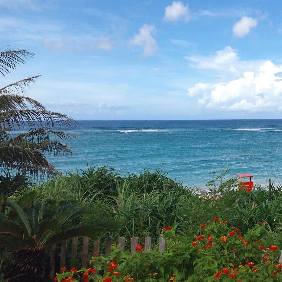 ホテル日航アリビラ 公式Instagramさんのインスタグラム写真 - (ホテル日航アリビラ 公式InstagramInstagram)「朝は海へと続く小道をお散歩。 今日も風が心地いい♪  #アリビラ #alivila #沖縄 #okinawa #ニライビーチ #夏 #リゾート」9月4日 11時50分 - hotelnikkoalivila