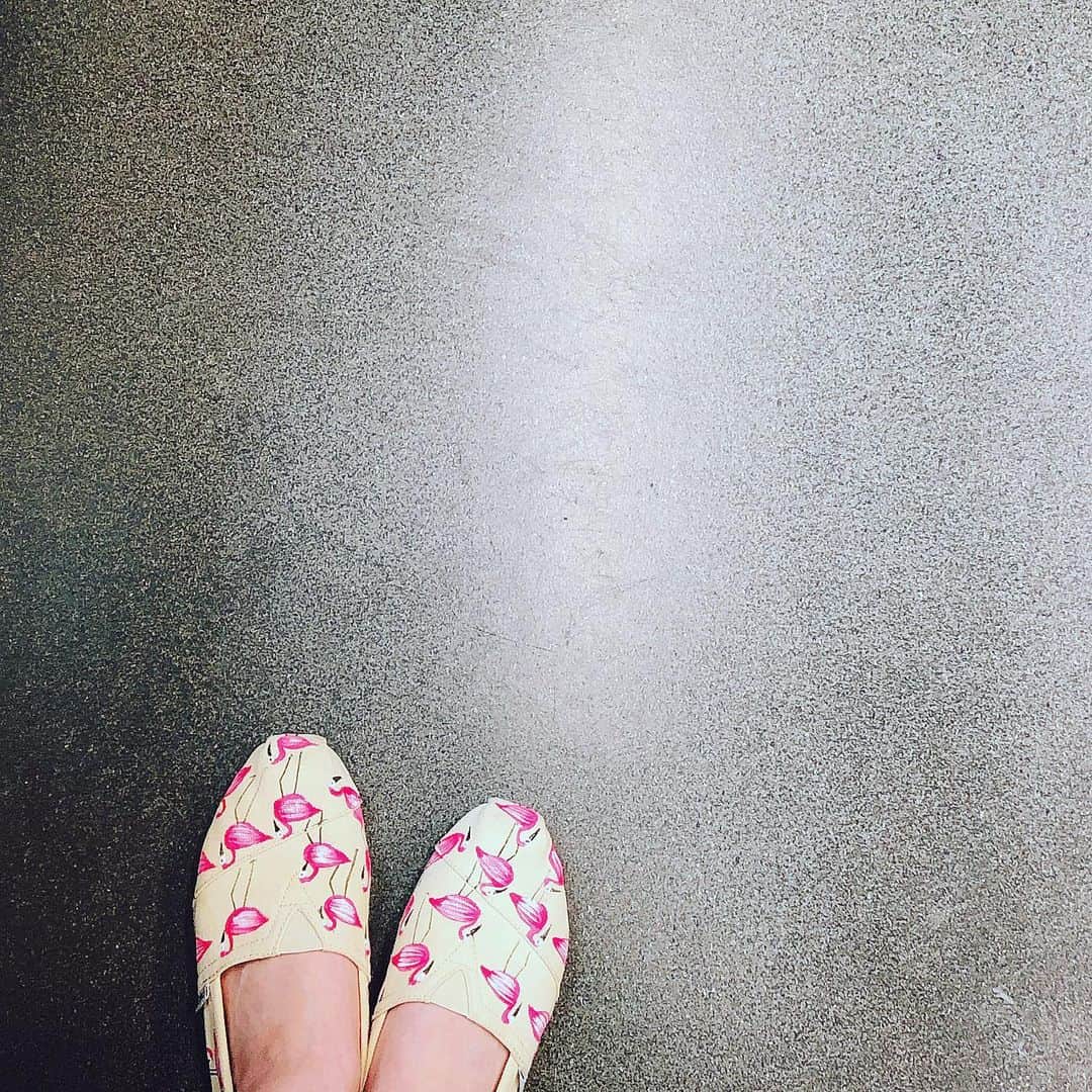 黒田絢子さんのインスタグラム写真 - (黒田絢子Instagram)「Flamingo🦜💕 . . #toms #Flamingo #pink #フラミンゴ #ピンク」9月4日 12時01分 - ayakokuroda_official