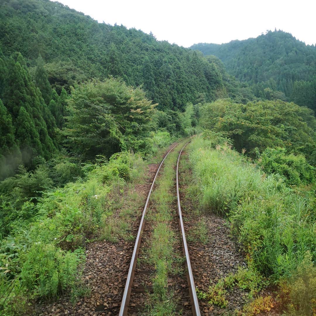 岡田達也さんのインスタグラム写真 - (岡田達也Instagram)「ジブリの世界みたい。  #因美線 #岡山 #鳥取 #岡田達也」9月4日 12時22分 - tatsuyajiru