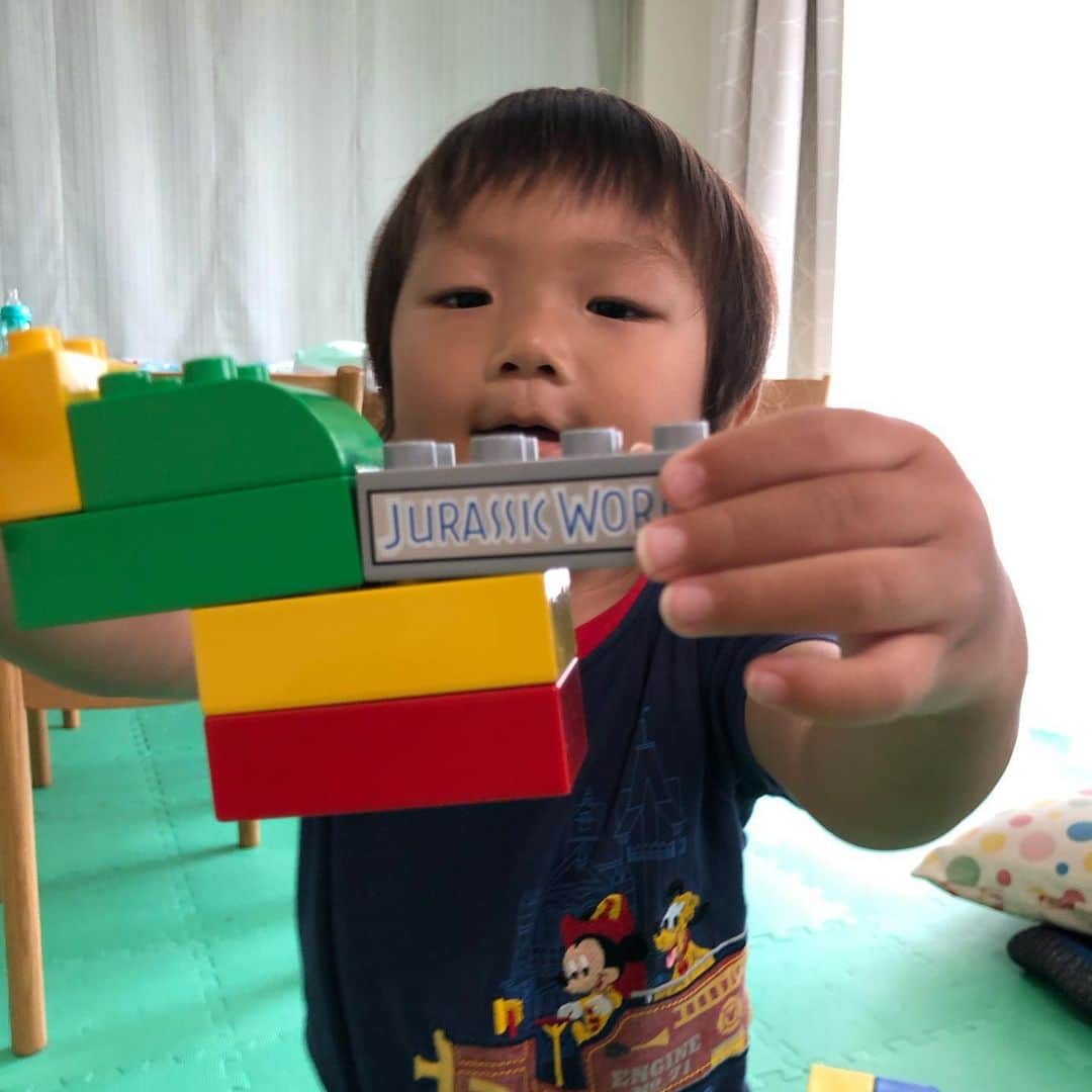 せんももあいしーさんのインスタグラム写真 - (せんももあいしーInstagram)「しーくんのレゴ初作品、恐竜です🦖 がおがお言って遊んでました😁 #lego #duplo #レゴ」9月4日 12時47分 - oyabakatousan