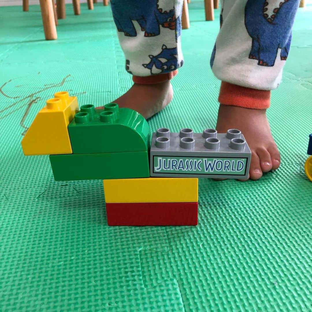 せんももあいしーさんのインスタグラム写真 - (せんももあいしーInstagram)「しーくんのレゴ初作品、恐竜です🦖 がおがお言って遊んでました😁 #lego #duplo #レゴ」9月4日 12時47分 - oyabakatousan