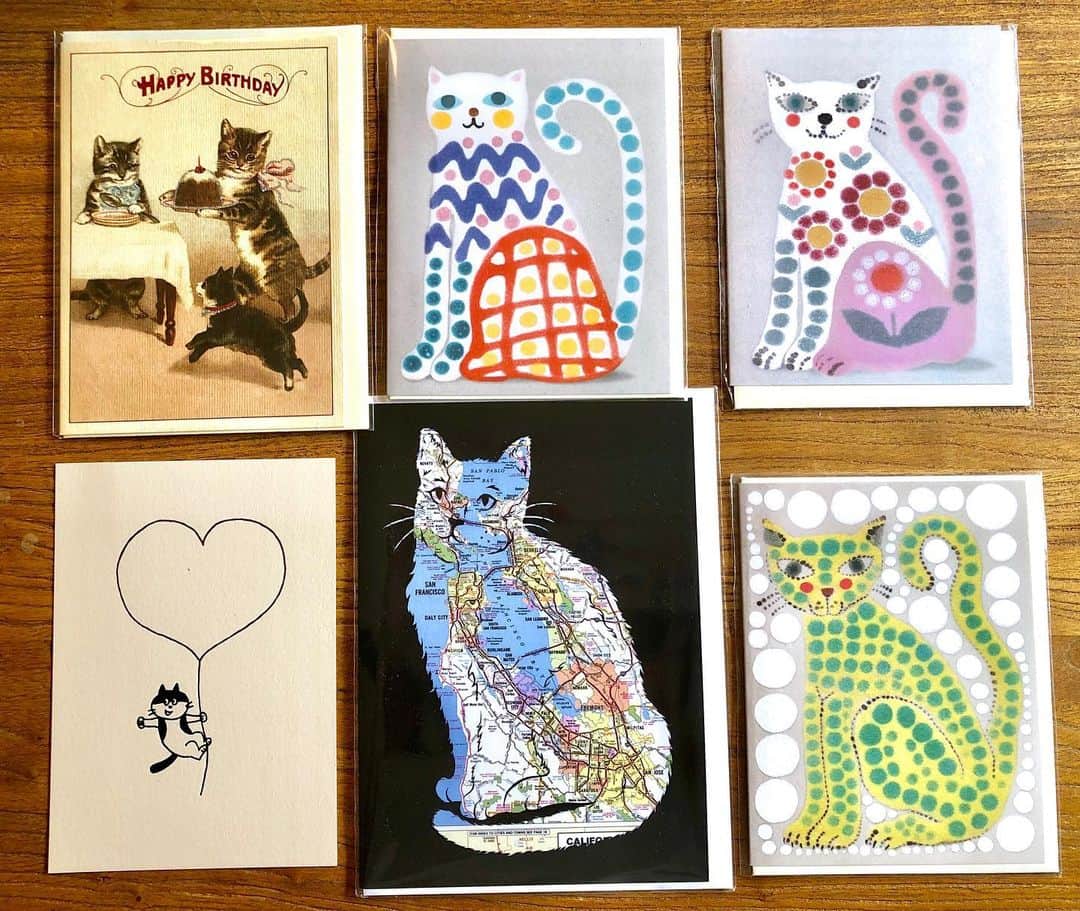 山田稔明さんのインスタグラム写真 - (山田稔明Instagram)「猫もたくさん。 #猫町旅日記 #サンフランシスコ旅2019」9月4日 12時54分 - toshiakiyamada