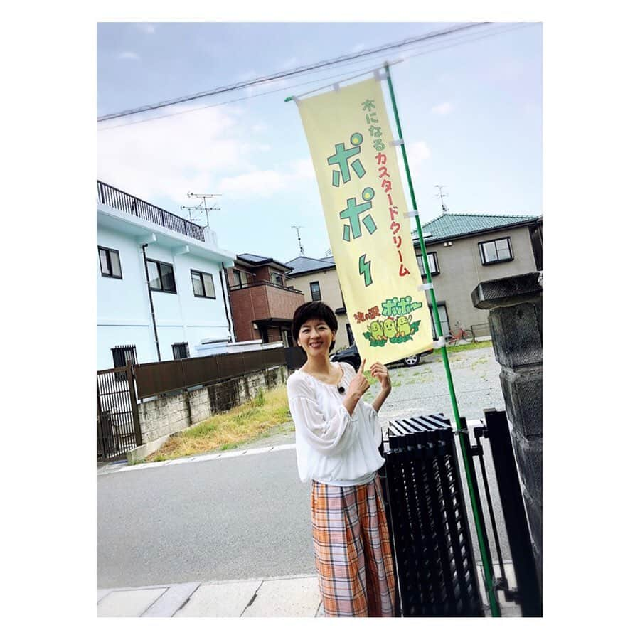 中山忍さんのインスタグラム写真 - (中山忍Instagram)「ポポー✨ 幻の美肌食材です🥭 フレッシュでおいしかった😋  #名医のTHE太鼓判 #ポポー #良い香り #森のカスタードクリーム」9月4日 13時16分 - _shinobu_nakayama_