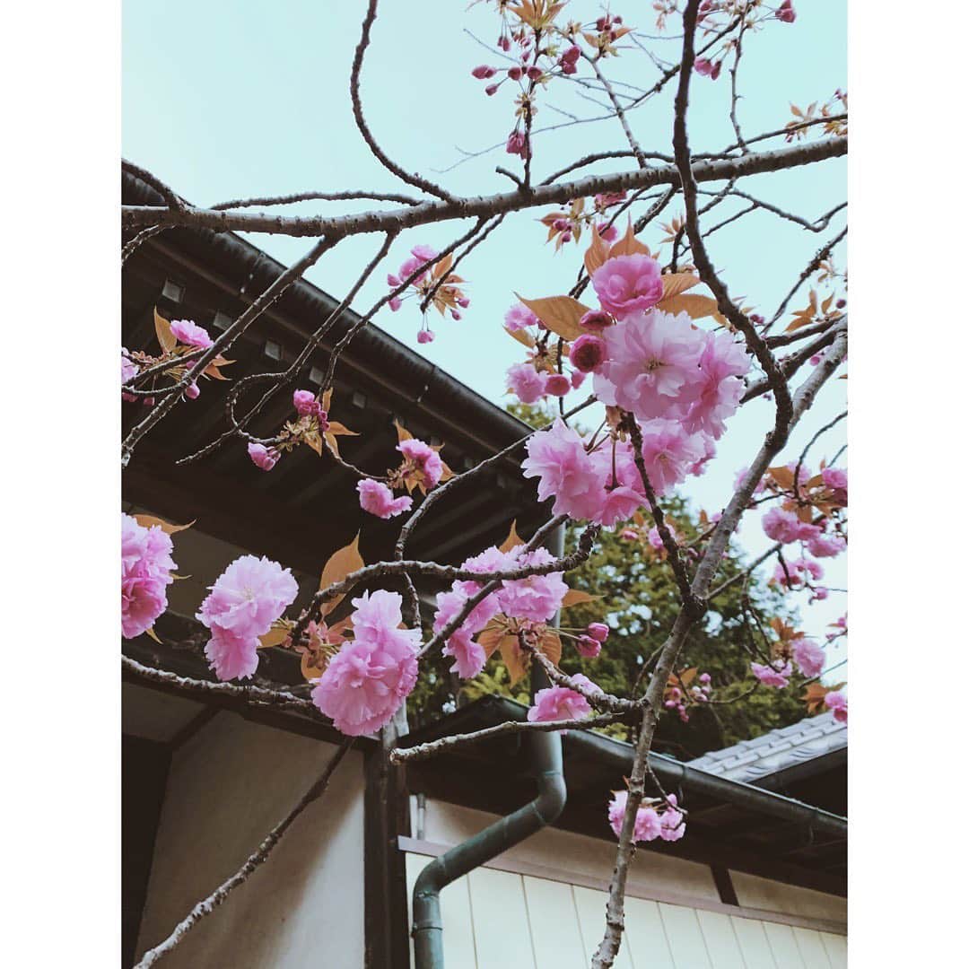 大津彩未のインスタグラム：「memory.」