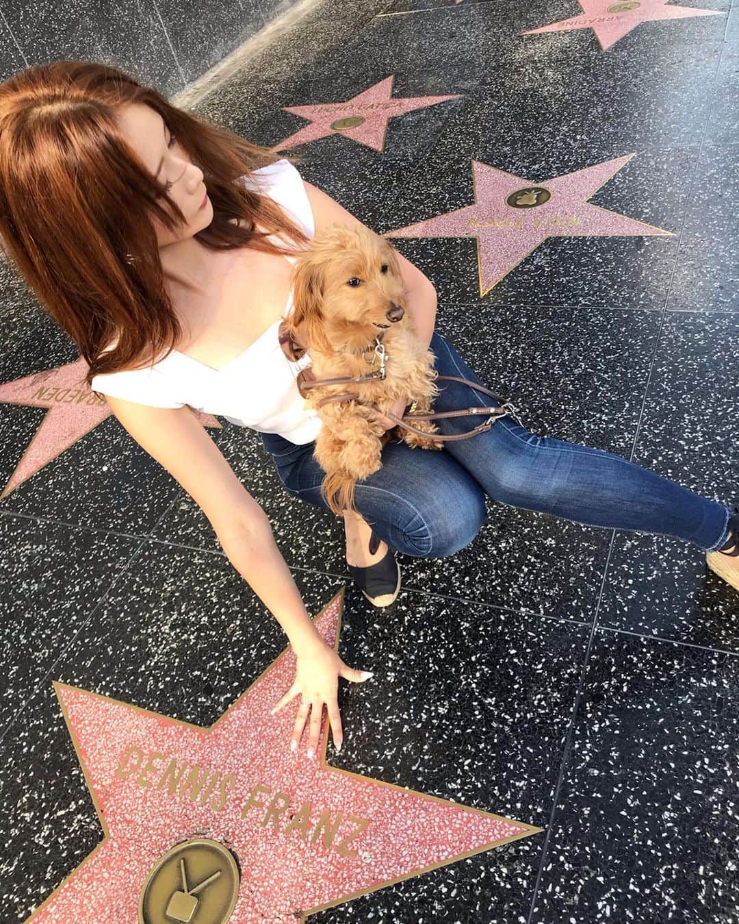 CHIHAさんのインスタグラム写真 - (CHIHAInstagram)「Hollywood行ってきた❤️ テディはハリウッドスターになりました❤️ #Hollywood #Hollywoodstar #la #LosAngeles」9月4日 13時40分 - chiha6170