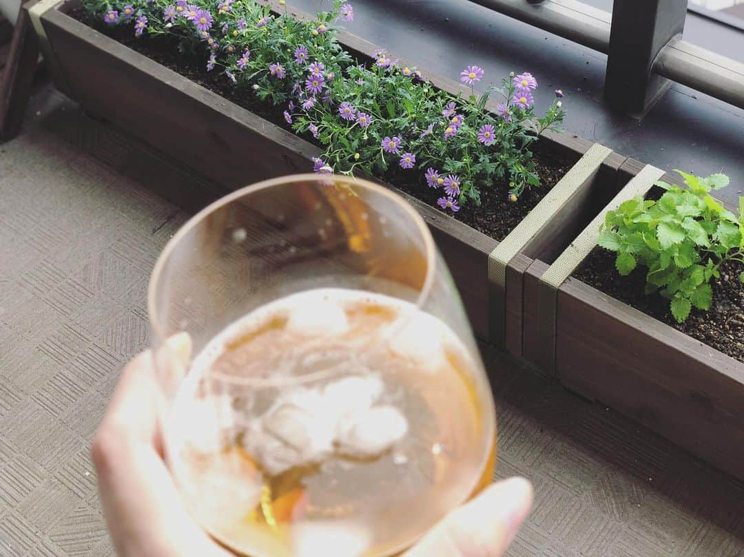 英玲奈さんのインスタグラム写真 - (英玲奈Instagram)「植物達を眺めて、 次はどうしようかと思いを巡らせる。 お気に入りのベンチに座って、 自家製の梅ジュースを飲む。 贅沢な時間。 #ベランダー #ベランダ作業 #花のある暮らし  #ていねいな暮らし  #季節を感じる暮らし  #趣味生活」9月4日 13時45分 - erena_erenyan