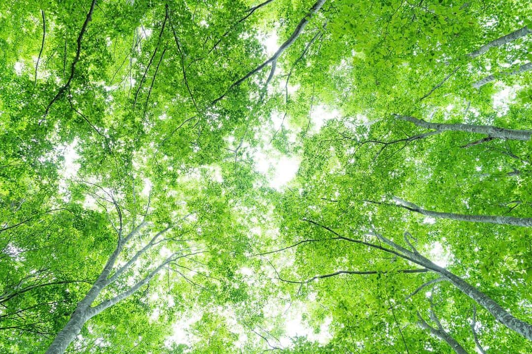 山人のグルメインスタ